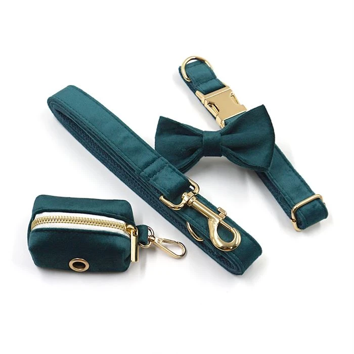 Set Kerah Anjing Beludru Biru Muda